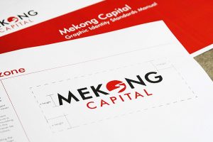 Các công ty nhận vốn từ Mekong Capital kinh doanh thế nào?