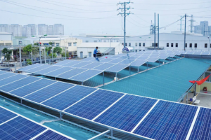 5 nhà máy điện mặt trời chính thức hòa vào lưới điện quốc gia