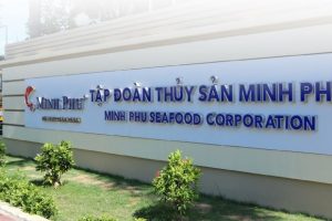 Thuỷ sản Minh Phú (MPC) dự kiến chia cổ tức năm 2023 tỷ lệ 50 – 70%