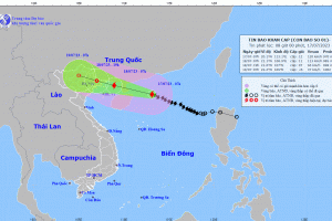 Tin bão khẩn cấp: Bão số 1 giật cấp 15, tiến nhanh vào ven biển Quảng Ninh – Hải Phòng