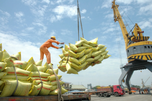 Ấn Độ cấm xuất khẩu gạo, Bộ Công Thương chỉ đạo khẩn