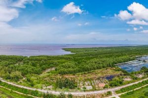 Bộ TNMT đề nghị tỉnh Thái Bình làm rõ việc thu hẹp khu bảo tồn thiên nhiên Tiền Hải