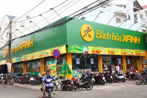 Quỹ GIC muốn đầu tư lớn vào Bách Hoá Xanh, định giá chuỗi bán lẻ số 3 Việt Nam 1,7 tỷ USD