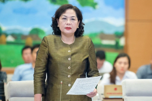 Thống đốc Nguyễn Thị Hồng: Giám sát chặt chẽ xử lý nợ xấu và sở hữu chéo ngân hàng