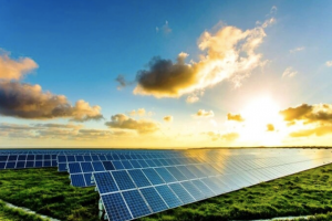 Dự án điện mặt trời 2.600 tỷ ở Thanh Hoá nguy cơ bị thu hồi