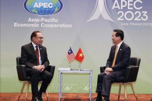 Chủ tịch nước Võ Văn Thưởng tiếp Thủ tướng Malaysia nhân dịp dự Tuần lễ Cấp cao APEC 2023
