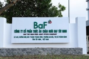 Nông nghiệp BAF: “Thâu tóm” một công ty ở Gia Lai, phát hành 7,1 triệu cổ phiếu ESOP