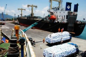 Cảng Quy Nhơn (QNP): Cổ đông “đón lộc sớm” và lời giải đáp của công ty