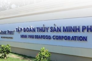 Ái nữ nhà “vua tôm” Minh Phú gom thành công 1,8 triệu cổ phiếu MPC sau thương vụ chuyển nhượng