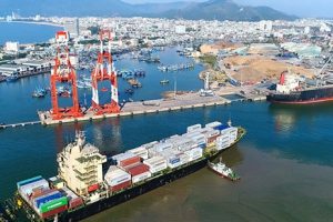 Cảng Quy Nhơn (QNP) muốn chuyển nhượng vốn đầu tư tại Inseco