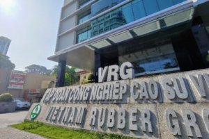 Thua kiện, GVR phải trả hơn 141 tỷ cho Thủy Điện Đắk R’Tíh