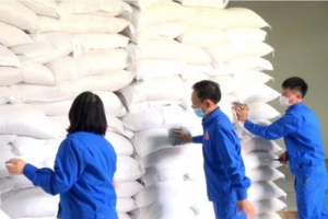 Triển khai cấp phát hơn 1.444 tấn gạo dịp Tết Nguyên đán, bảo đảm không người dân nào bị đói, không có tết
