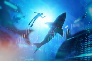 Dòng tiền cá mập mạnh tay “bơm vốn”, bộ đôi VHM – VIC dẫn dắt thị trường