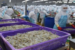Là nhà xuất khẩu Việt lớn nhất tại Nhật Bản, FMC đem về 19 triệu USD doanh thu tháng 1