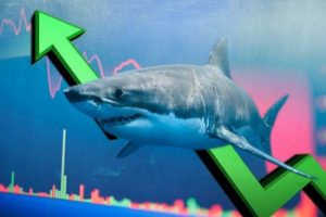 Nhóm Chứng khoán “đón” dòng tiền cá mập, VN-Index trả điểm mạnh mẽ
