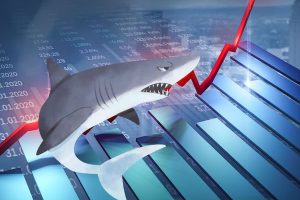 Thị trường “bốc hơi” gần 14 điểm, dòng tiền cá mập liên tục “rút hàng”