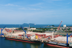 Cảng Nghệ Tĩnh (NAP) dự kiến trả cổ tức thấp hơn so với các năm dù kinh doanh bứt phá