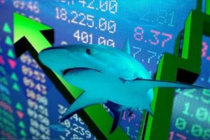 Dòng tiền cá mập “bứt tốc” thanh khoản, VN-Index “bay cao” cuối phiên