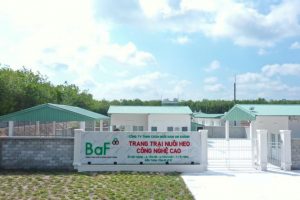 Nông nghiệp BaF Việt Nam lên kế hoạch tăng vốn 1.000 tỷ đồng