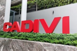 Trúng loạt gói thầu lớn ngành điện, CADIVI thắng đậm dịp đầu năm