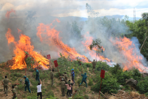 Thủ tướng yêu cầu tăng cường các biện pháp cấp bách phòng cháy, chữa cháy rừng