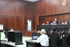 Xét xử phúc thẩm vụ án liên quan đến bị cáo Nguyễn Phương Hằng