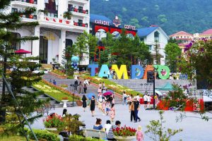 20 tỷ mua được 100m2: Đất Tam Đảo đắt ngang mặt phố trung tâm Hà Nội