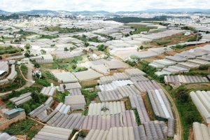Lâm Đồng: Phê duyệt kinh phí hơn 17,2 tỷ đồng để cơ cấu lại ngành nông nghiệp