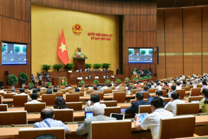 Nghị quyết 43 giúp Việt Nam “hạ cánh mềm”