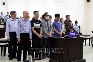 Phúc thẩm vụ Việt Á: Đề nghị bác kháng cáo của cựu Bộ trưởng Bộ Y tế Nguyễn Thanh Long
